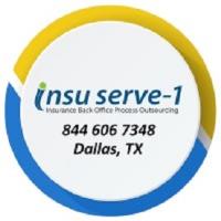 Insuserve1 - Insurance Back Office Services image 1